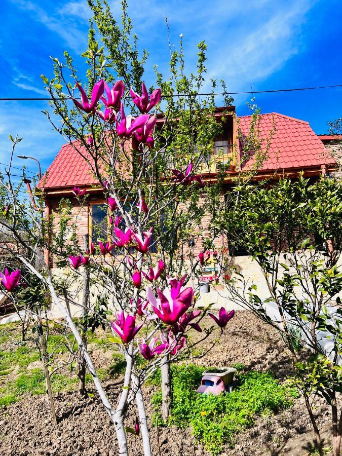Sunshine House Villa Kutaisi Exterior foto
