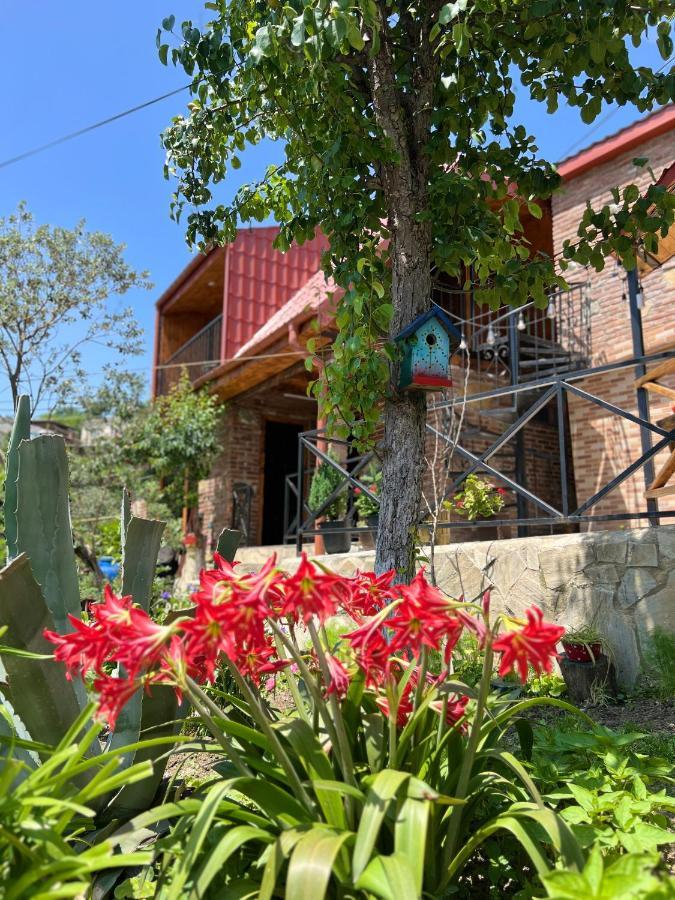 Sunshine House Villa Kutaisi Exterior foto