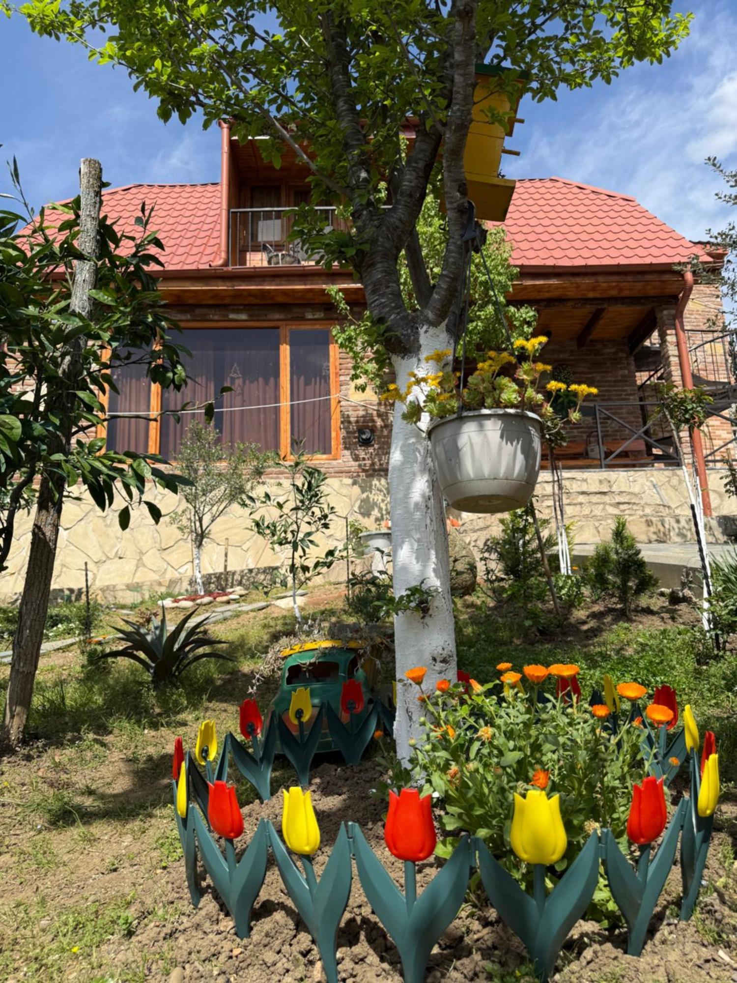 Sunshine House Villa Kutaisi Exterior foto